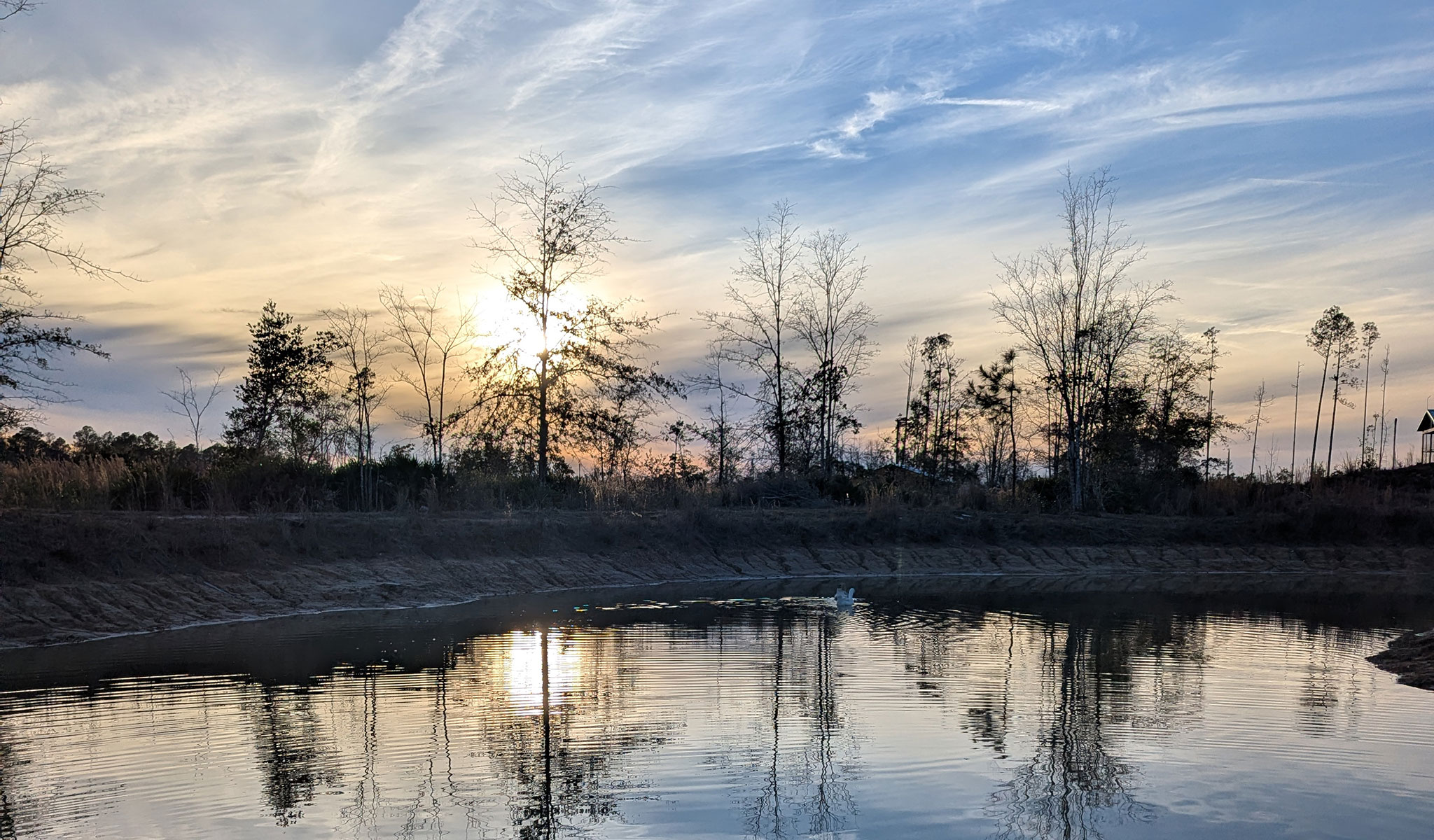 Sun over pond with Geese